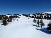 Piste Kvitfjelløypa