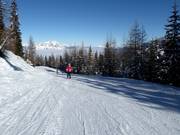 Descente facile vers la vallée