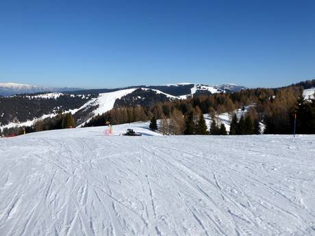 Alpe Cimbra: Taille des domaines skiables – Taille Folgaria/Fiorentini