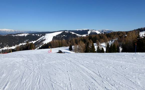 Vicence: Taille des domaines skiables – Taille Folgaria/Fiorentini