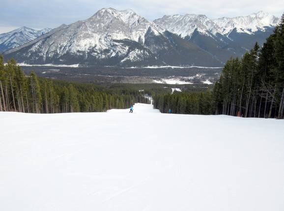 Descente Lower Eye Opener