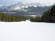 Descente Lower Eye Opener