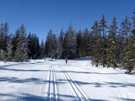 Ski nordique Sankt Johann im Pongau – Ski nordique Filzmoos
