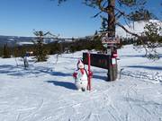 Bon plan pour les enfants : 