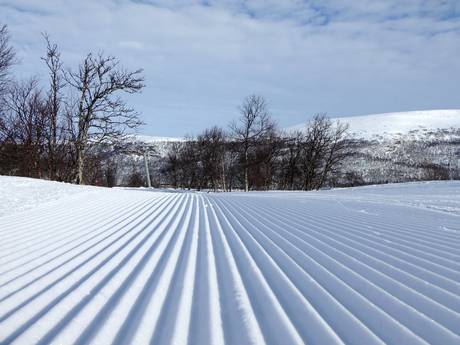 Préparation des pistes Herdalie (Härjedalen) – Préparation des pistes Tänndalen