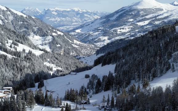 Lenk-Simmental: offres d'hébergement sur les domaines skiables – Offre d’hébergement Adelboden/Lenk – Chuenisbärgli/Silleren/Hahnenmoos/Metsch