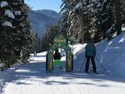 Parcours aventure FilZOO