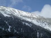Vue sur les descentes à travers la forêt au North Peak