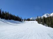 Piste facile Lone Wolf