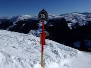 Balisage de piste noire