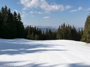 Piste facile à Mechi Chal