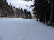 Piste très facile South Road