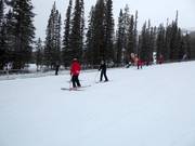 Zone débutants Sunny Side avec tapis roulants