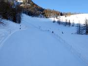 Descente Coupe du monde