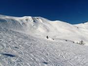 Zone freeride au Fulseck