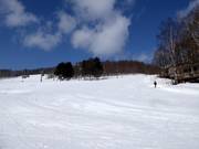 Piste facile White Lover au West Mountain