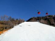 Descente vers la vallée n° 1 vers Matrei