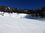 Piste facile pour débutants Scoiattolo à la station intermédiaire Tarlenta