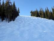 Piste difficile à bosses Exhibition