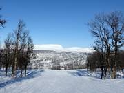 Piste n° 5 Genvägen