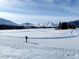 Dollar Mountain – Sun Valley