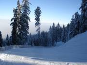 Maxweg sur la descente vers la vallée