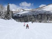 Piste facile au télésiège Link