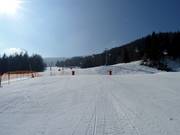 Piste de vitesse Kaiserburg