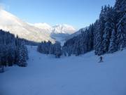 Partie supérieure facile de la descente vers la vallée jusqu'à la télécabine Almkopfbahn à destination de Bichlbach
