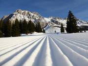 Piste parfaitement préparée sur l'Ehrwalder Alm