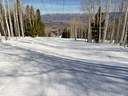 Descente Big Face Hollow