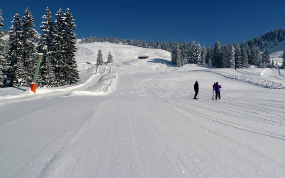 Domaines skiables pour les débutants dans la Laternsertal (vallée de Laterns) – Débutants Laterns – Gapfohl