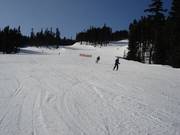 Trois pistes se rejoignent