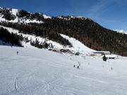 Zone débutants au Alm-Express