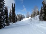 Traverse facile Teton Vista