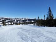 Piste facile Vesleseterbakken