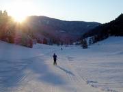 Piste de ski de fond Weirerteich