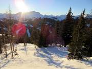 Descente à travers la forêt au Goat's Eye Mountain