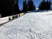 Bon plan pour les enfants :  - Tigignas-Park