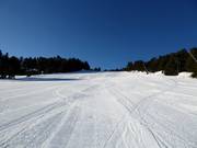 Piste Bruyère Basse