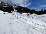 Minilift Ehrwalder Alm - Télécorde/remonte-pente à câbles bas