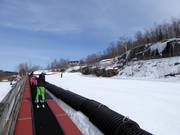 Tapis roulant avec piste pour débutants