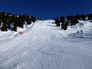 Piste noire n° 19d au Hanser X-Press