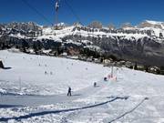 Tannenboden - Téléski à pioches