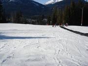 Zone pour débutants dans la vallée