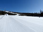 Piste Nedre Bøseter n° 29