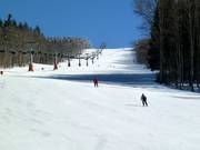 Piste de difficulté moyenne au télésiège Almberg