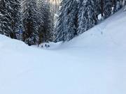 Descente vers la vallée