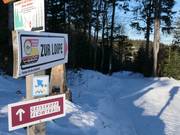 Piste de ski de fond am Geißkopf