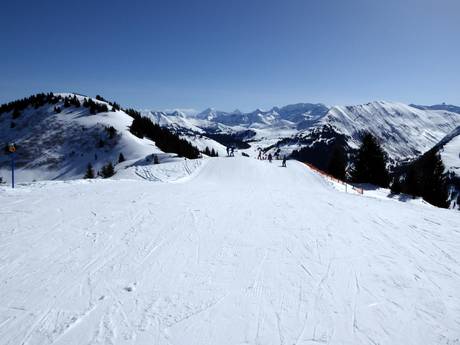 Domaines skiables pour les débutants dans la Simmental (vallée de la Simme) – Débutants Rinderberg/Saanerslochgrat/Horneggli – Zweisimmen/Saanenmöser/Schönried/St. Stephan